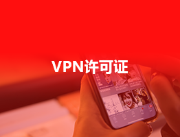 VPN-国内虚拟专用网业务